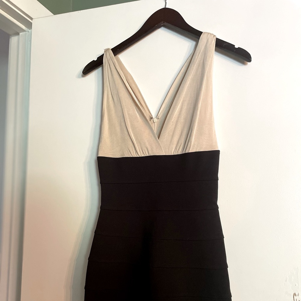 Black and Beige Dress